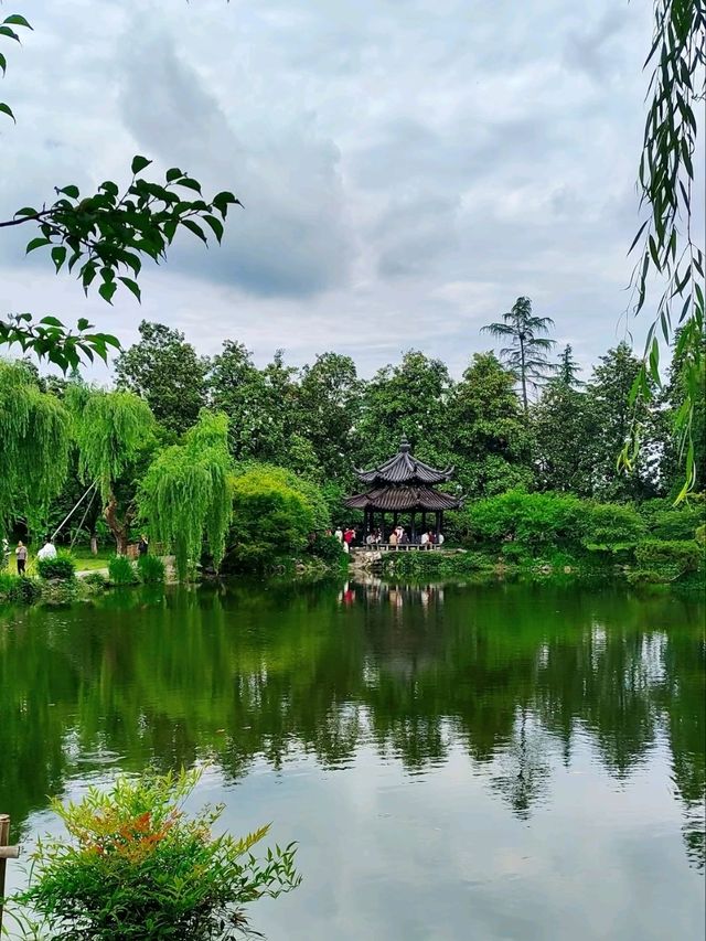 A Walk Through Nature’s Canvas
