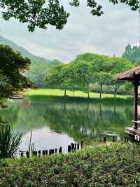 Prince Bay Park: Hangzhou’s Emerald Sanctuary