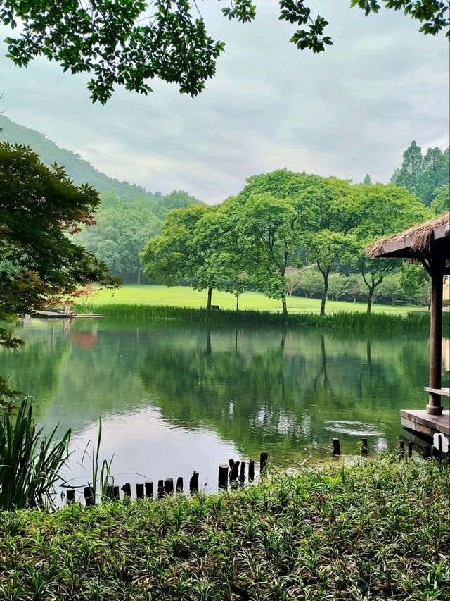 Prince Bay Park: Hangzhou’s Emerald Sanctuary