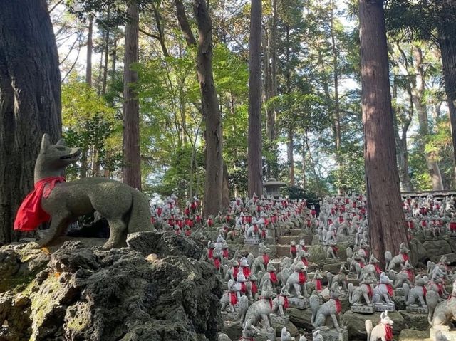 일본 아이치현 도요카와 레이코즈카