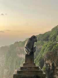 The Wild Monkeys of Bali: Playful, Sacred & Free
