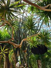 🌿 Tropical Wonder in the City – Bloedel Conservatory at Queen Elizabeth Park