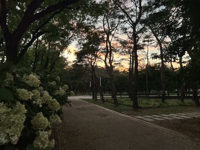 도심 속 고요한 쉼, 아름다운 서울숲공원