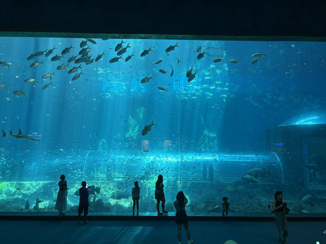 หลบร้อนจาก fun park มา Aquarium @ Vinwonder