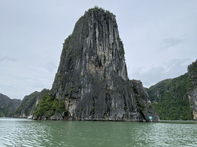 笑顔と感動のハロン湾クルーズ