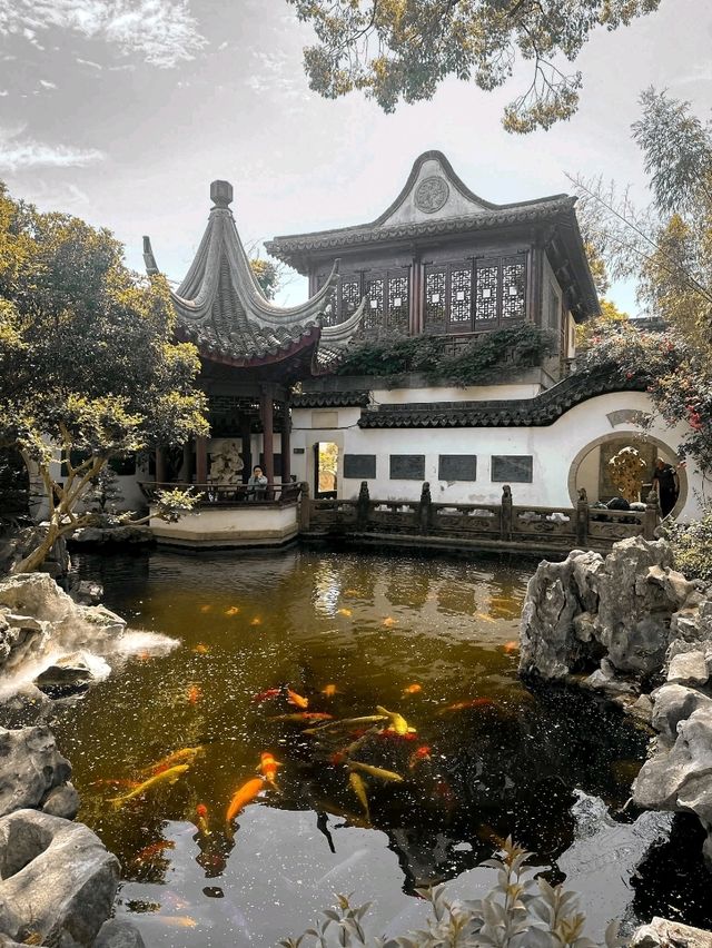  “Lantern Dreams of the Water Town”