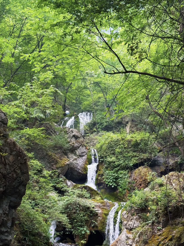 【重渡溝】終極遊玩攻略 | 北國小九寨溝嘅竹林秘境 🎋 【重渡溝】終極遊玩攻略 | 北國小九寨溝嘅竹林秘境 🎋
