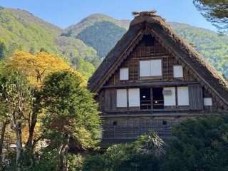 我的春季白川鄉之旅：『小瑞士』！ 🌸