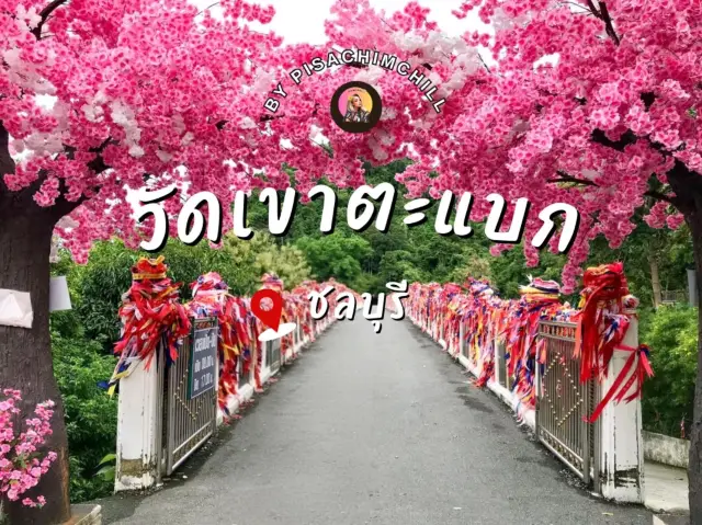 วัดเขาตะแบก ชลบุรี