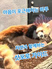 마음이 포근해지는 하루, 자연과 함께하는 삿포로 가이드