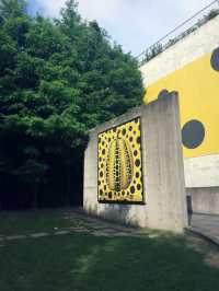 제주 여행 남들보다 더 잘 즐기는 법🩷