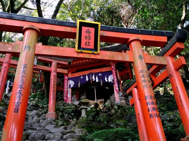 佐賀満喫　レンタカーで巡るグルメと観光の1泊2日