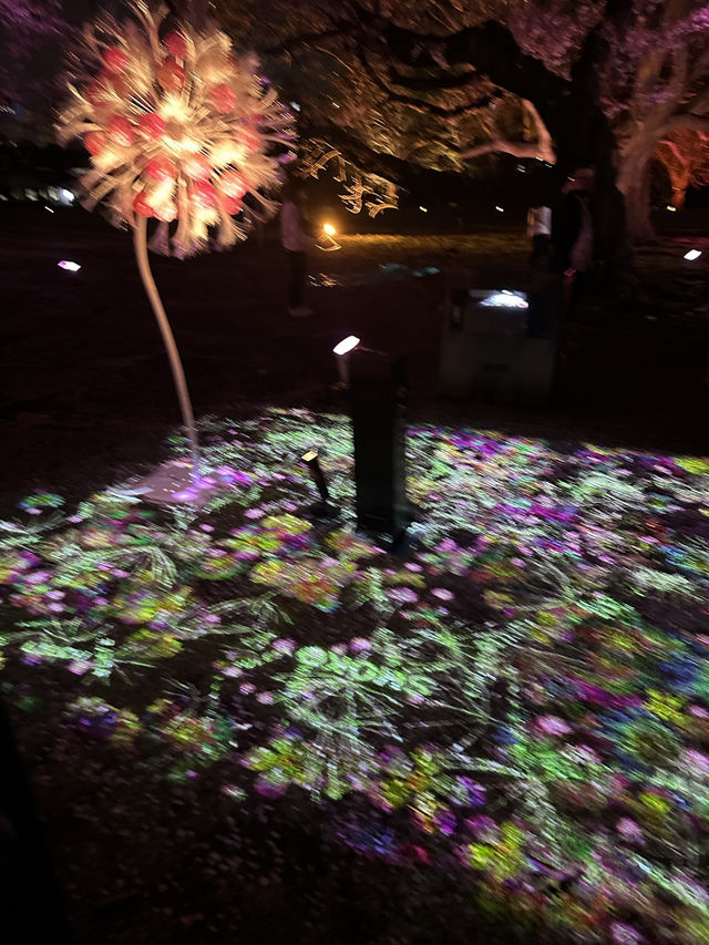 🌸 NAKED 桜の新宿御苑|デジタルと桜が融合する夜のお花見 🌸 NAKED 桜の新宿御苑|デジタルと桜が融合する夜のお花見