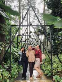 Discovering Serenity: A Journey Through Orchid Forest Cikole