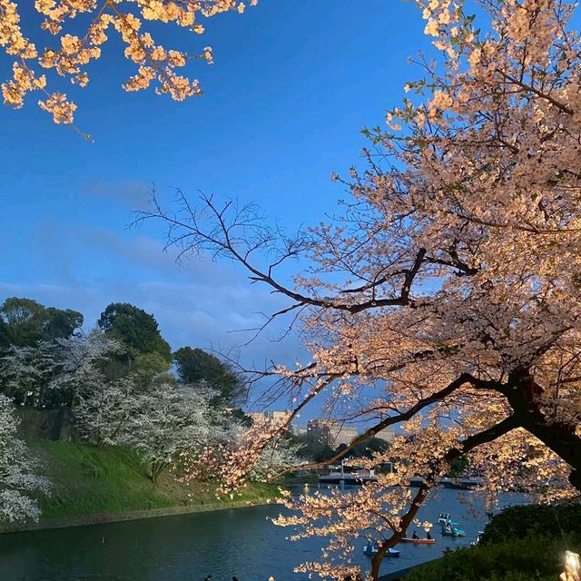 Chidori-ga-fuchi & Kitanomaru Park