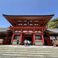 The Soul of Kamakura: A Solo Visit to Tsurugaoka Hachimangu Shrine ⛩️