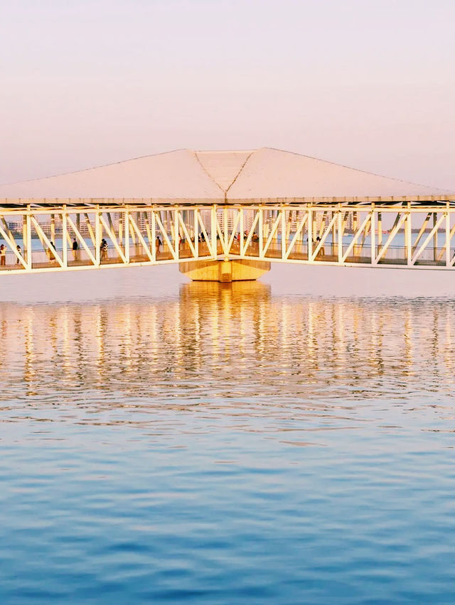 上海🇨🇳滴水湖:海邊新城中的人文與自然之湖 上海🇨🇳滴水湖:海邊新城中的人文與自然之湖