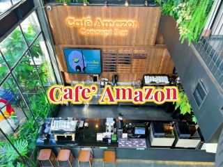 Amazon Concept Bar
