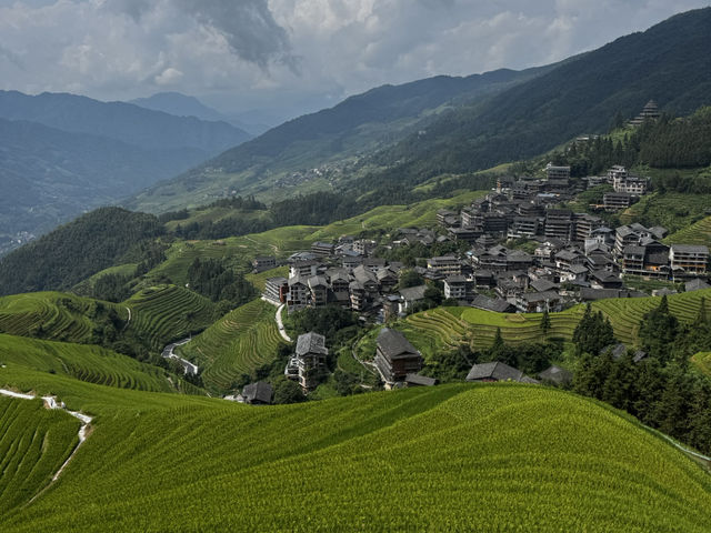 Rice Terrace Dream🌾