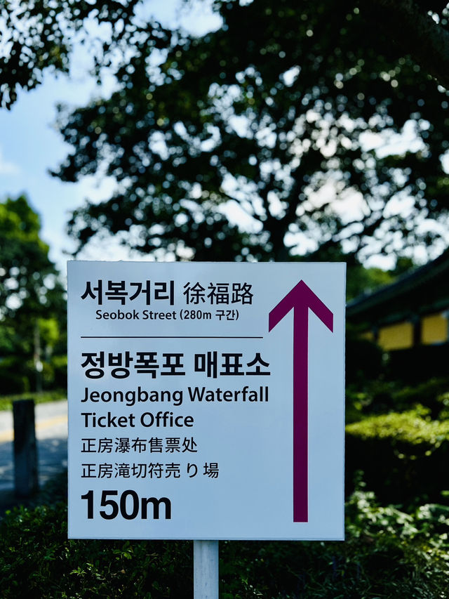 西歸浦市-正房瀑布+藝術館+徐福展覽館