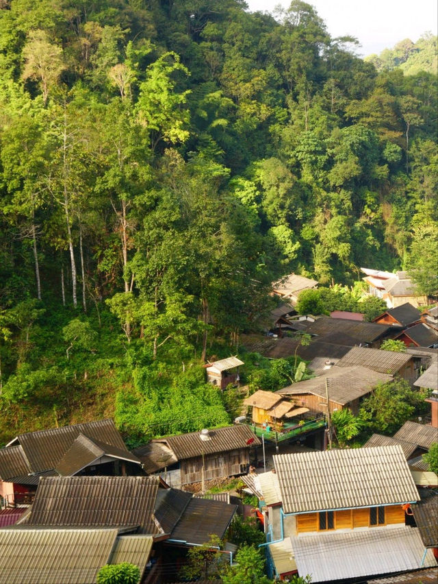 🌳 : หมู่บ้านแม่กำปอง เที่ยวแม่ออน เชียงใหม่