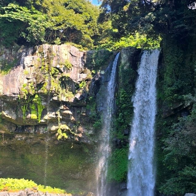 천지연폭포, 서귀포가 품은 장엄한 폭포의 아름다움 🌿
