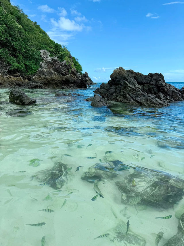 เที่ยวเกาะภูเก็ต | เกาะพีพี 🏝️