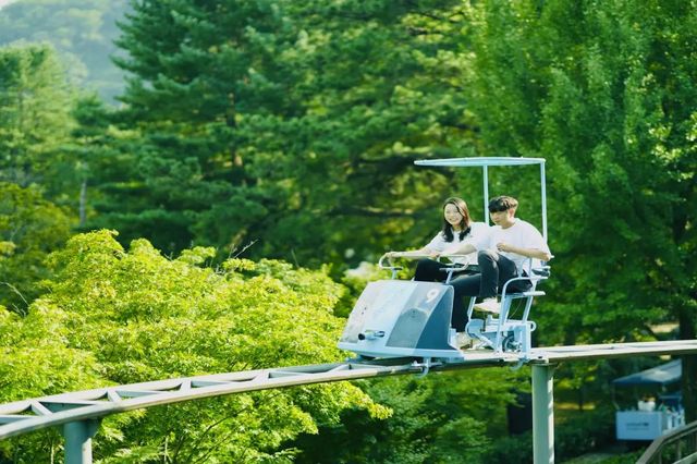 SUMMER MINI TOUR – Nami Island + Garden of Morning Calm (Day Trip from Seoul) SUMMER MINI TOUR – Nami Island + Garden of Morning Calm (Day Trip from Seoul)