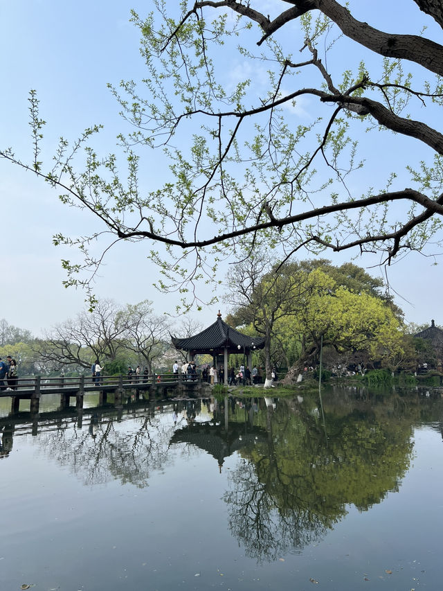🇨🇳 Shanghai & Hangzhou 8D7N Free & Easy Itinerary 