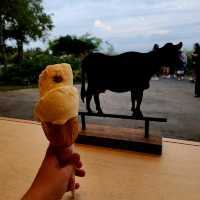 Lake Hill Farm: The Must-Try Ice Cream Spot in Toyako 🙌🍦