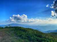 สวนยาหลวง จ.น่าน