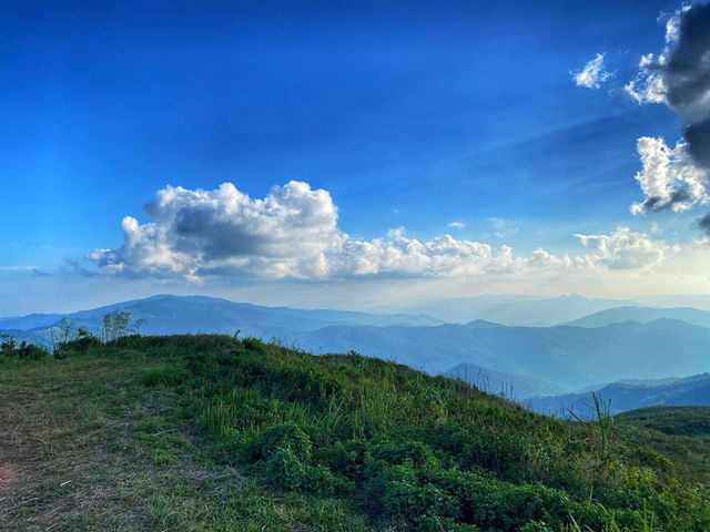 สวนยาหลวง จ.น่าน สวนยาหลวง จ.น่าน