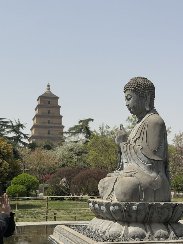 Pagoda Tranquility🌳 Pagoda Tranquility🌳