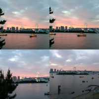 Hydrangea Dreams: Odaiba Summer Escapade 🌿