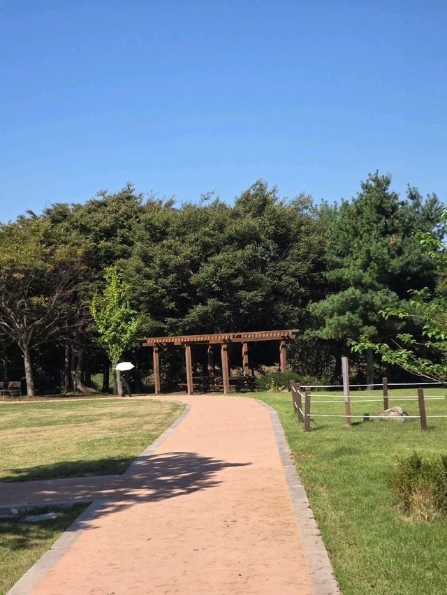 🌿 걷기 좋은 역사 산책길, 강화 고인돌공원