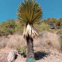 Jardín Botánico Histórico La Concepción
