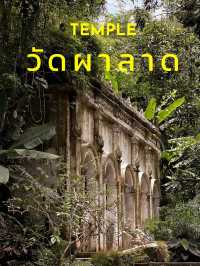 พิกัดลับบนดอยสุเทพ สายท่องเที่ยวต้องไม่พลาด !