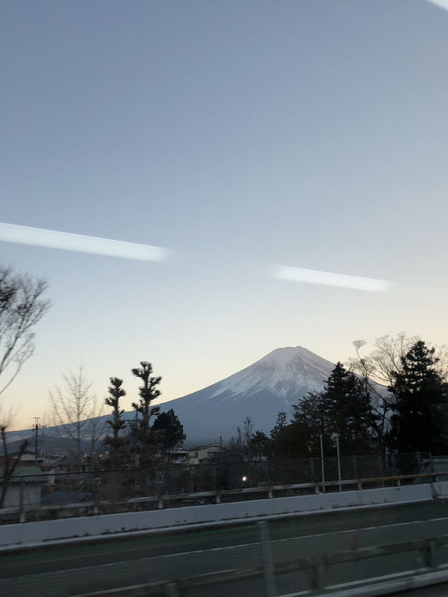 東京周邊5️⃣個必去景點🇯🇵