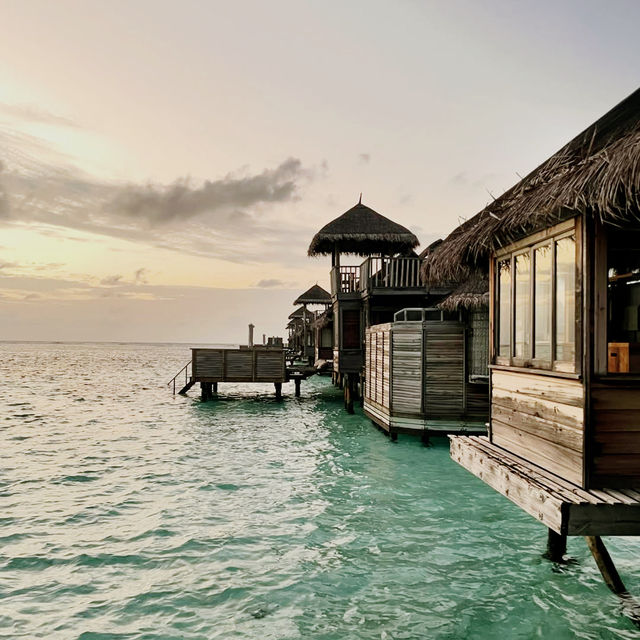 Barefoot Dreams, Ocean Deep
