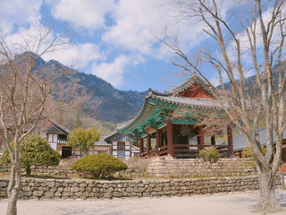 扶安之旅必到景點！扶安來蘇寺，美麗的花門🌸🏵🌼