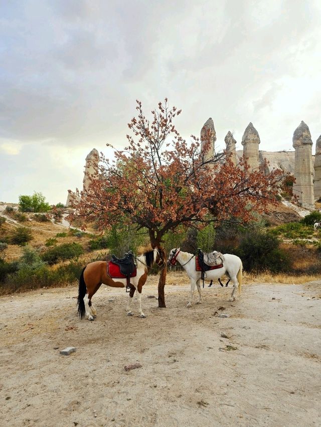 Magical Sunset Horseback Ride Through Göreme's Valleys 🌅🐎