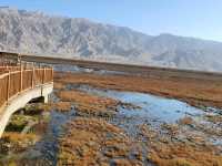The Golden Grassland of the Pamir: A Golden Scroll on the Plateau