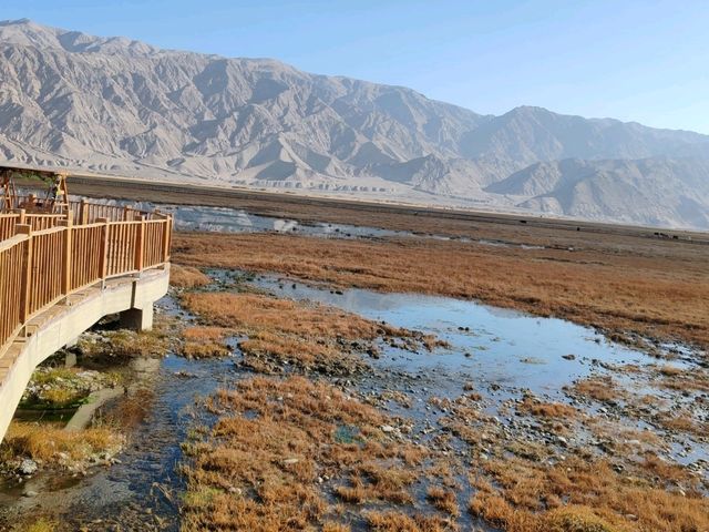 The Golden Grassland of the Pamir: A Golden Scroll on the Plateau