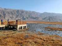 The Golden Grassland of the Pamir: A Golden Scroll on the Plateau