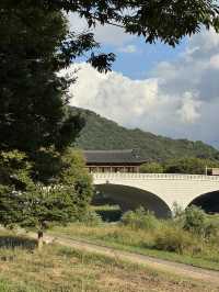 전주 당일치기 여행코스 🩵