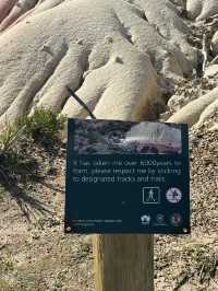 【オーストラリア・南オーストラリア】海と地質の不思議を体感「Hallett Cove Boardwalk」🌊🪨