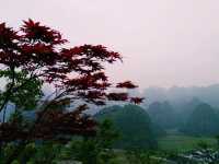 The Majestic Wanfenglin