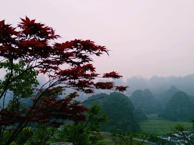 The Majestic Wanfenglin