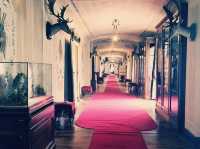 Solo in the Royal Hunting Grounds: La Mandria Park, Venaria