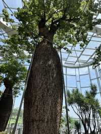 在上海城市裡的祕密仙境 🌈🌺 